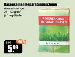 V Baumarkt Rasensamen Reparaturmischung Angebot