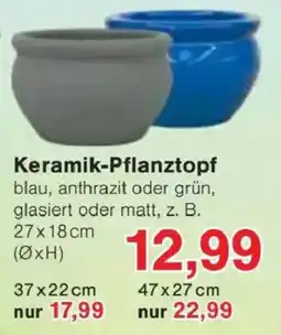 Jawoll Keramik-Pflanztopf Angebot
