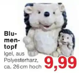 Jawoll Blumen-topf Igel Angebot