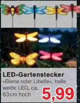 Jawoll LED-Gartenstecker Angebot