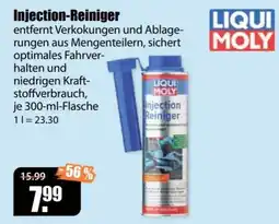 V Baumarkt LIQUI MOLY Injection-Reiniger Angebot