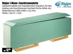 V Baumarkt Rigips 1-Mann Feuchtraumplatte Angebot