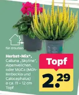 Netto Herbst-Mix* Angebot