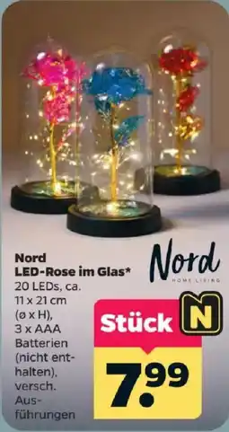 Netto Nord LED-Rose im Glas Angebot