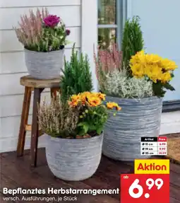 Netto Marken-Discount Bepflanztes Herbstarrangement Angebot