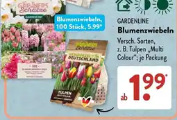 Aldi Süd GARDENLINE Blumenzwiebeln Angebot