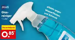 Netto Marken-Discount Priva Glasreiniger Angebot