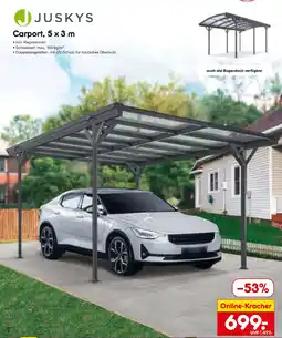 Netto Marken-Discount JUSKYS Carport, 5 x 3 m Angebot