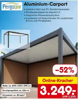 Netto Marken-Discount Pergoline Aluminium-Carport Angebot
