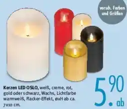 Trends Möbel Kerzen LED OSLO Angebot