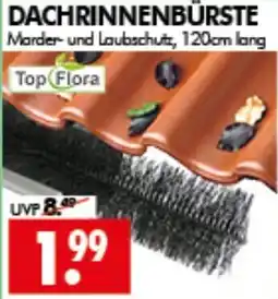 Wreesmann Dachrinnenbürste Angebot