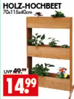 Wreesmann Holz-hochbeet Angebot