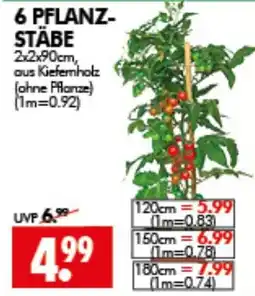 Wreesmann 6 PFLANZ-STÄBE Angebot