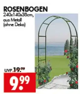 Wreesmann ROSENBOGEN Angebot