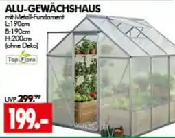 Wreesmann ALU-GEWÄCHSHAUS mit Metall-Fundament Angebot