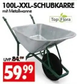 Wreesmann 100L-XXL-SCHUBKARRE mit Metallwanne Angebot