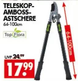 Wreesmann TELESKOP-AMBOSSTASTSCHERE Top Flora Angebot