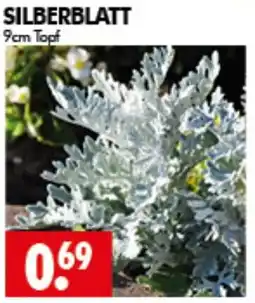 Wreesmann SILBERBLATT Angebot