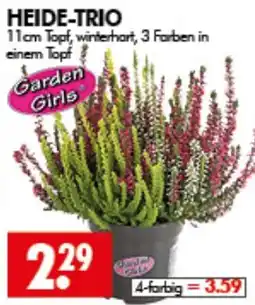 Wreesmann HEIDE-TRIO Garden Girls Angebot