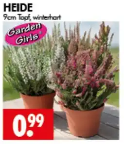 Wreesmann Garden Girls HEIDE Angebot