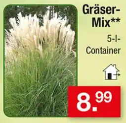 Zimmermann Gräser-Mix** Angebot