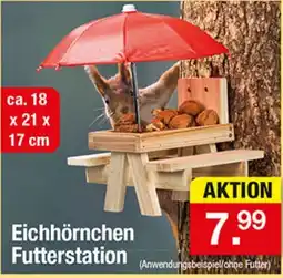 Zimmermann Eichhörnchen Futterstation Angebot
