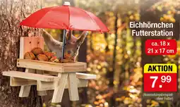 Zimmermann Eichhörnchen Futterstation Angebot