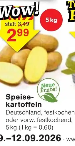 Wiglo Wunderland Speisekartoffeln Angebot
