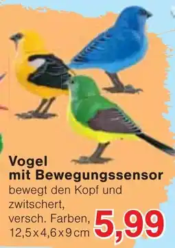Wiglo Wunderland Vogel mit Bewegungssensor Angebot