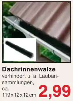 Wiglo Wunderland Dachrinnenwalze Angebot