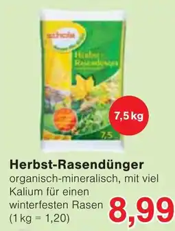 Wiglo Wunderland schola Herbst-Rasendünger Angebot