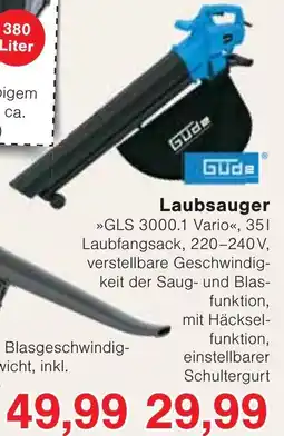 Wiglo Wunderland Laubsauger »GLS 3000.1 Vario« Angebot