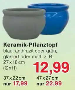 Wiglo Wunderland Keramik-Pflanztopf Angebot