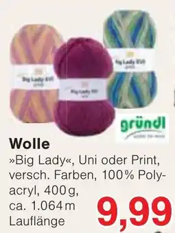 Wiglo Wunderland Big Lady Wolle Angebot
