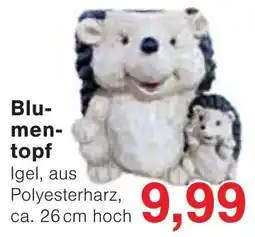 Wiglo Wunderland Blumen-topf Igel Angebot