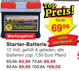Wiglo Wunderland Starter-Batterie Angebot
