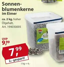 Sonderpreis Baumarkt Sonnenblumenkerne im Eimer Angebot