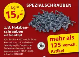 Sonderpreis Baumarkt SPEZIALSCHRAUBEN Angebot