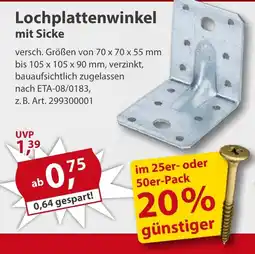 Sonderpreis Baumarkt Lochplattenwinkel mit Sicke Angebot