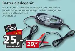 Sonderpreis Baumarkt Batterieladegerät EUFAB Angebot