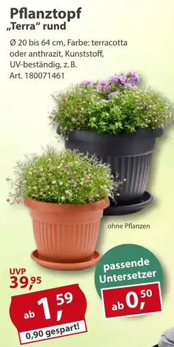 Sonderpreis Baumarkt Pflanztopf "Terra" rund Angebot