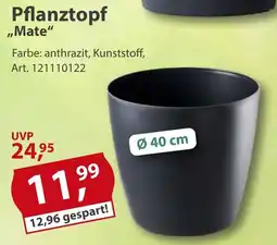Sonderpreis Baumarkt Pflanztopf "Mate" Angebot