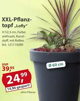 Sonderpreis Baumarkt XXL-Pflanztopf „Lofly“ Angebot