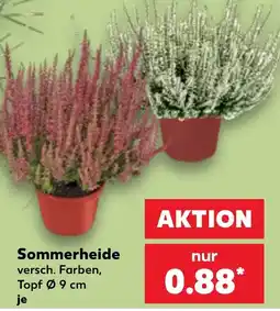 Kaufland Sommerheide Angebot