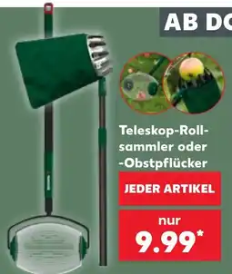 Kaufland Teleskop-Roll-sammler oder -Obstpflücker Angebot
