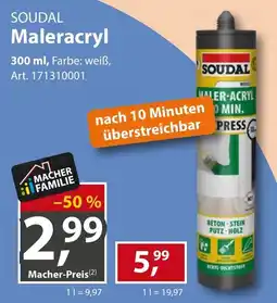 Sonderpreis Baumarkt Soudal Maleracryl Angebot