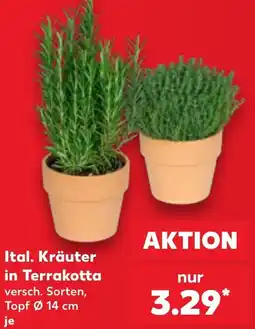 Kaufland Ital. Kräuter in Terrakotta Angebot
