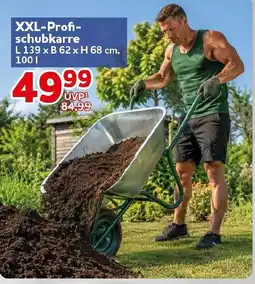CENTERSHOP XXL-Profi-schubkarre Angebot