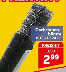 CENTERSHOP Dachrinnen-bürste Angebot