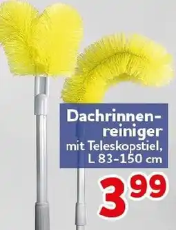 CENTERSHOP Dachrinnenreiniger Angebot